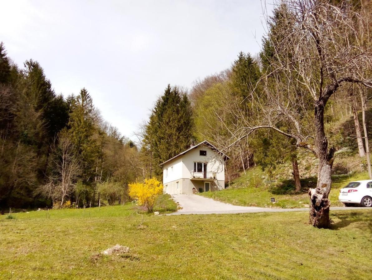 Art House Tufi Διαμέρισμα Bistrica ob Sotli Εξωτερικό φωτογραφία